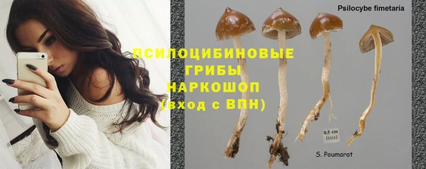 spice Балахна