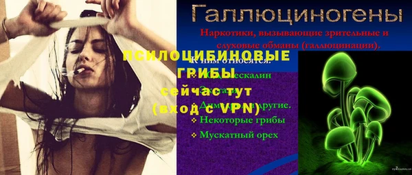 прущие крисы Баксан