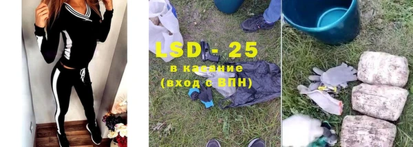 ПСИЛОЦИБИНОВЫЕ ГРИБЫ Армянск