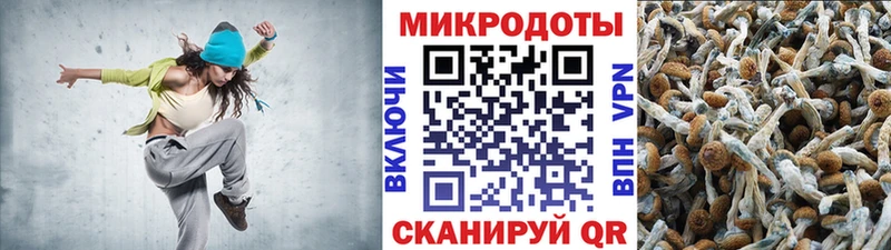 Галлюциногенные грибы GOLDEN TEACHER  Балтийск 