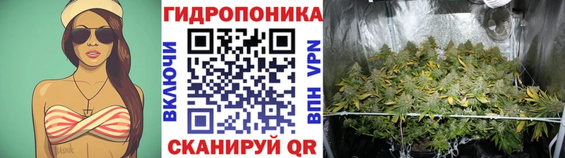 Бошки марихуана LSD WEED  сколько стоит  Балтийск 
